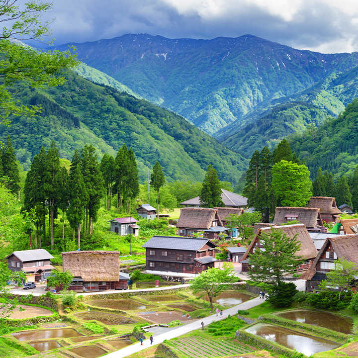 改善生態環境美化生活家園